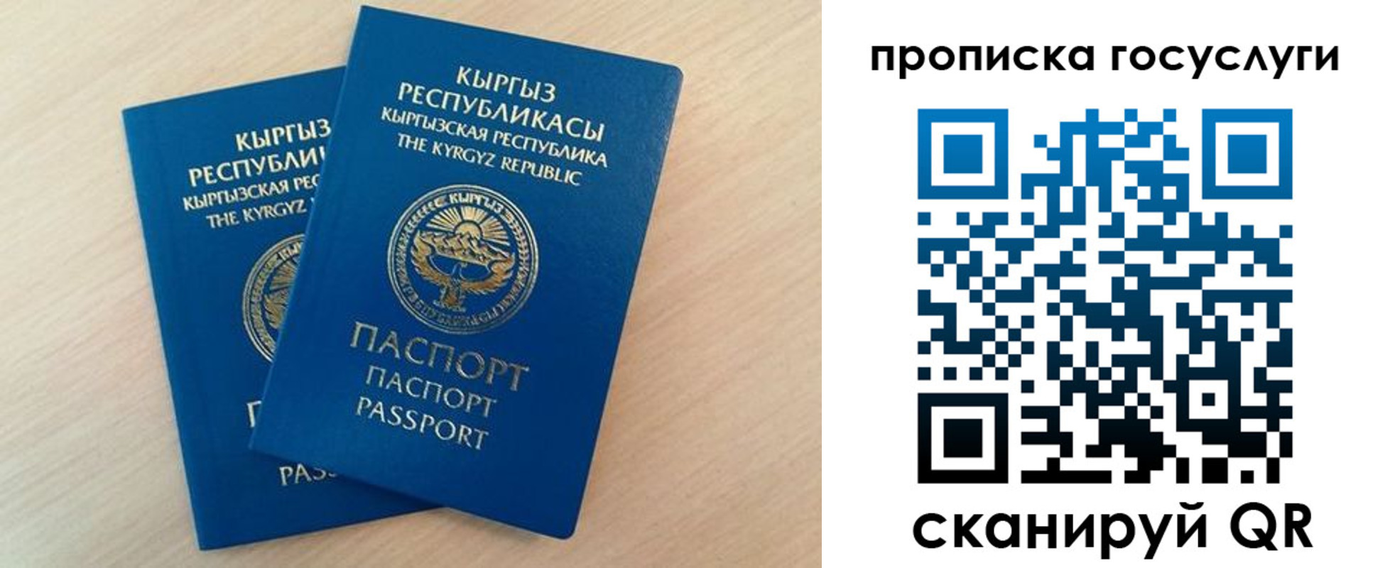 временная регистрация 2025 в Петропавловске-Камчатском